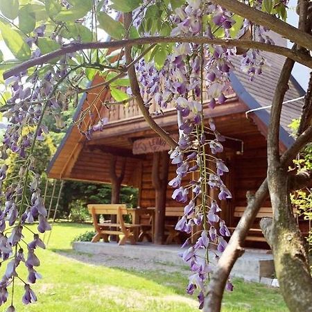 U Leona Villa Gorlice Buitenkant foto